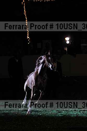 Proof Number 10usn_30482
