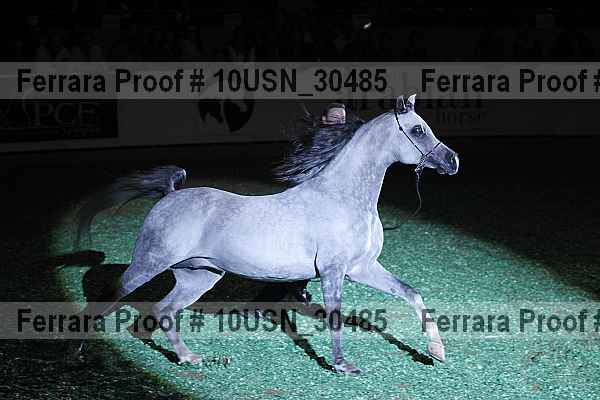 Proof Number 10usn_30485