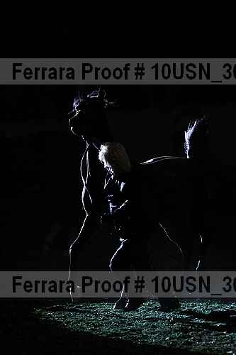 Proof Number 10usn_30491