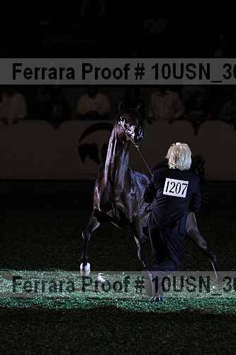 Proof Number 10usn_30494