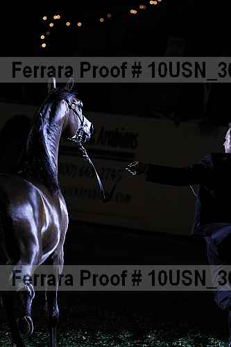Proof Number 10usn_30496