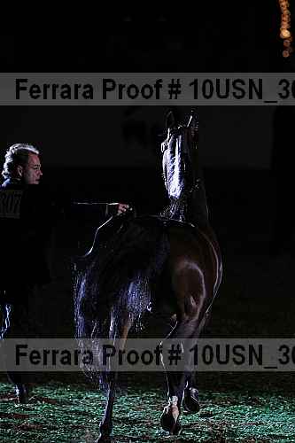 Proof Number 10usn_30500