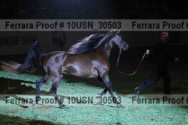 Proof Number 10usn_30503