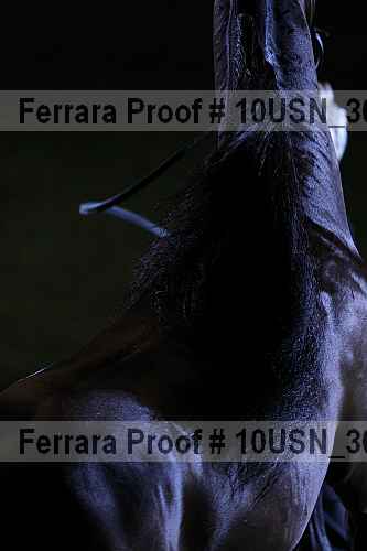 Proof Number 10usn_30504