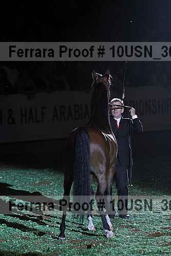 Proof Number 10usn_30511