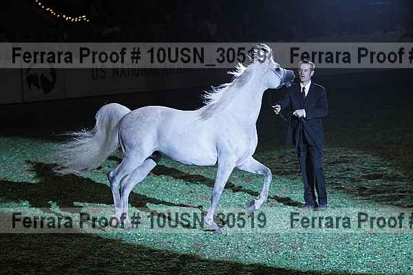 Proof Number 10usn_30519