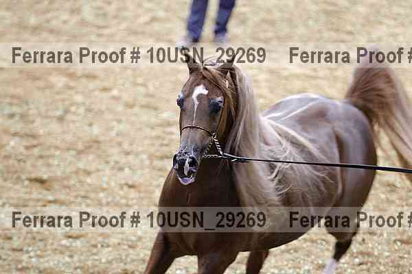 Proof Number 10usn_29269