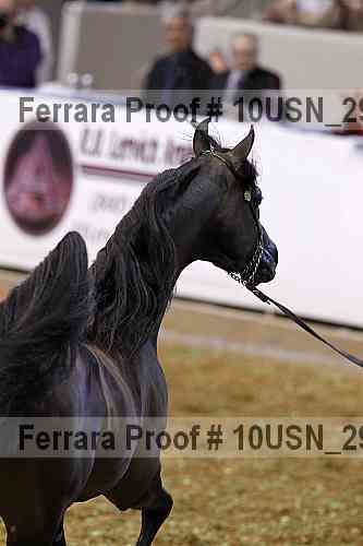 Proof Number 10usn_29281