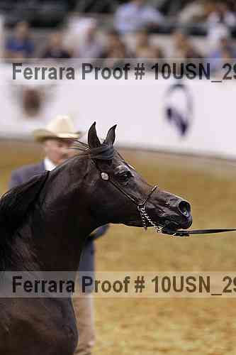 Proof Number 10usn_29291