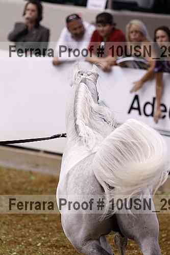 Proof Number 10usn_29306