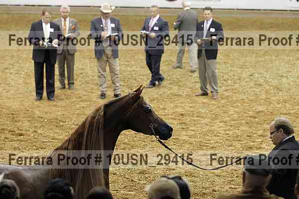 Proof Number 10usn_29415