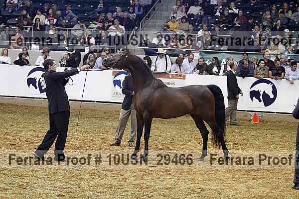 Proof Number 10usn_29466