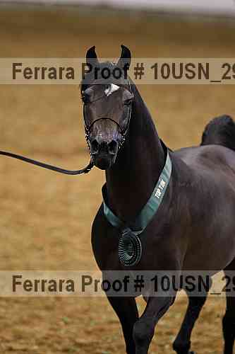 Proof Number 10usn_29585
