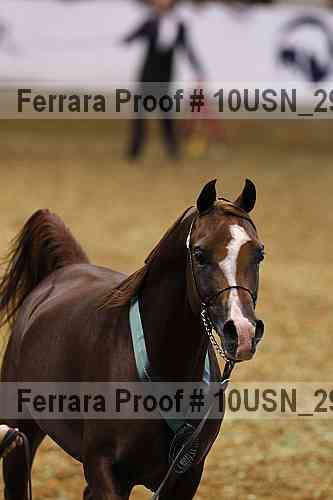 Proof Number 10usn_29597