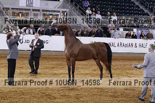 Proof Number 10usn_14598