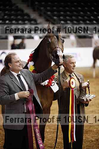 Proof Number 10usn_14634
