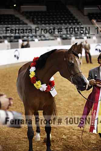 Proof Number 10usn_14643