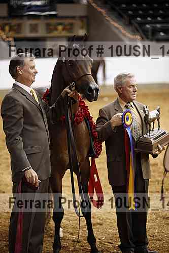 Proof Number 10usn_14649