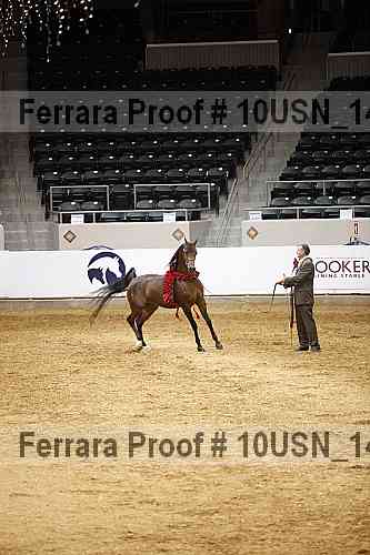 Proof Number 10usn_14670