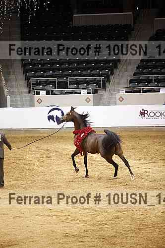 Proof Number 10usn_14672