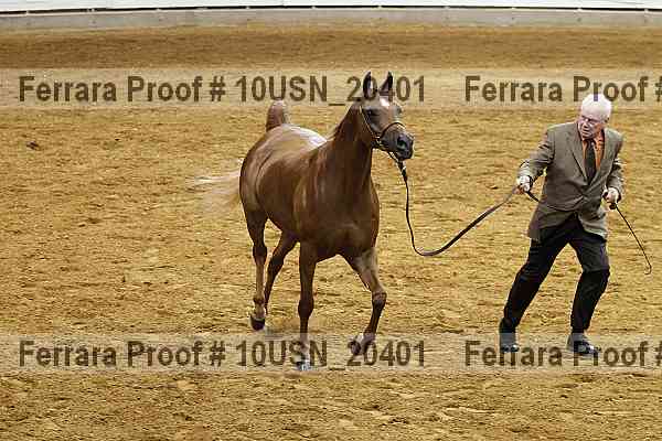 Proof Number 10usn_20401