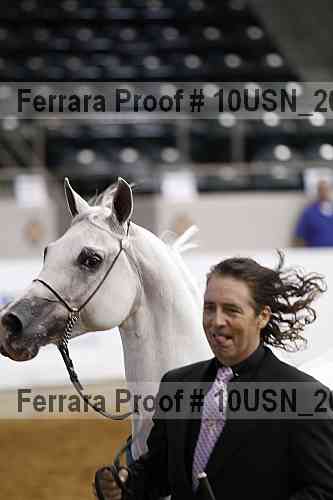 Proof Number 10usn_20468
