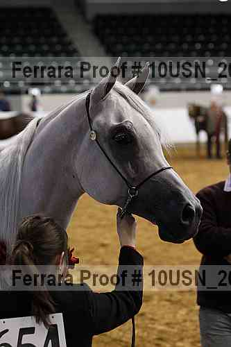 Proof Number 10usn_20498