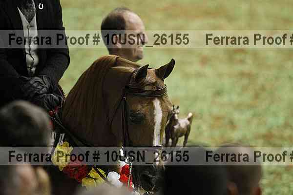 Proof Number 10usn_26155