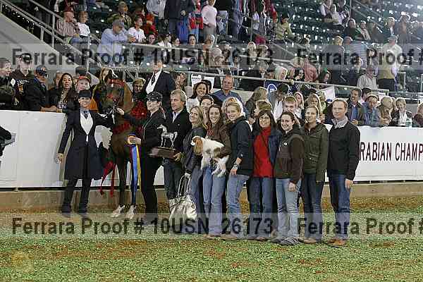 Proof Number 10usn_26173