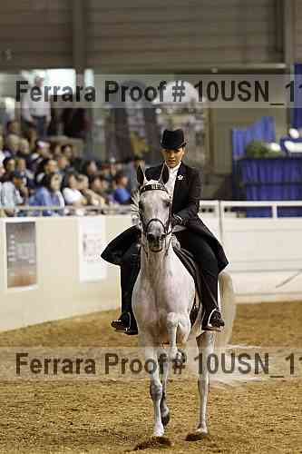 Proof Number 10usn_11197