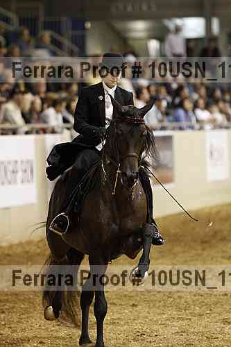 Proof Number 10usn_11203