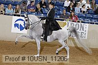 10usn_11206 thumbnail