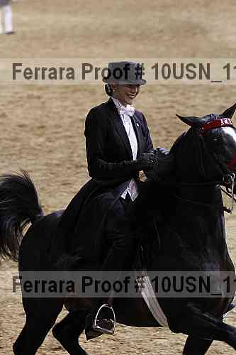 Proof Number 10usn_11325