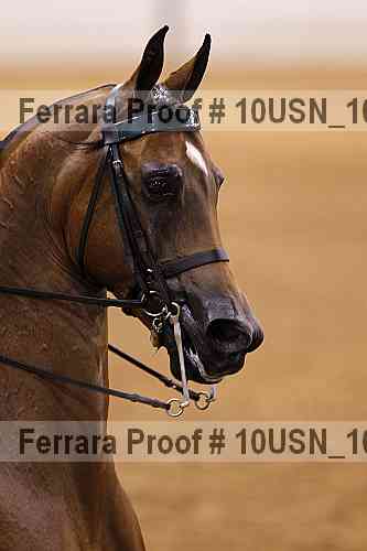 Proof Number 10usn_10892