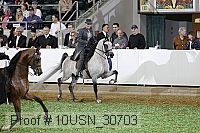 10usn_30703 thumbnail