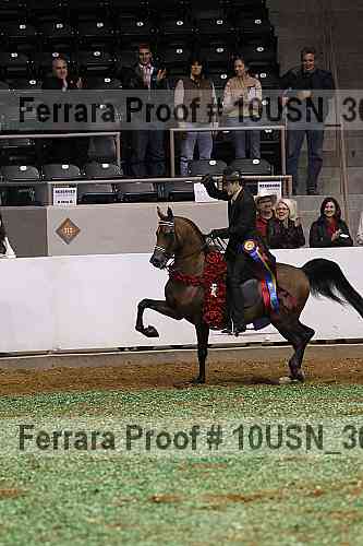Proof Number 10usn_30908