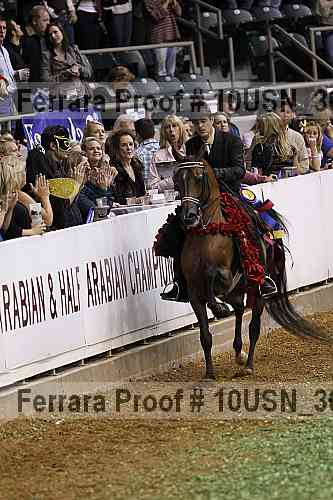 Proof Number 10usn_30937
