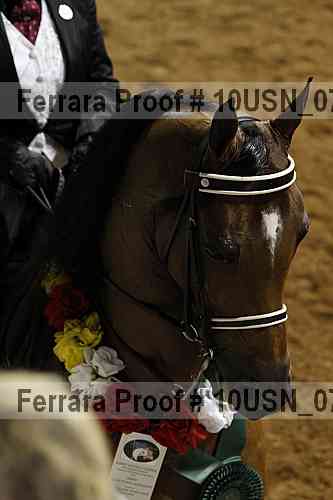 Proof Number 10usn_07361
