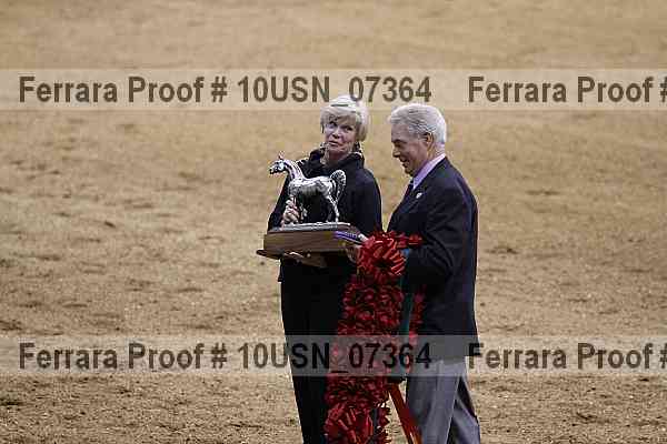 Proof Number 10usn_07364