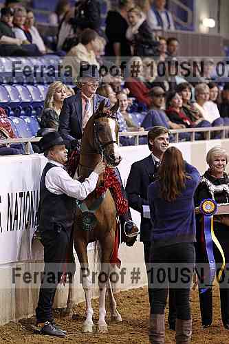 Proof Number 10usn_07376
