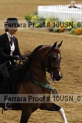 Proof Number 10usn_07415