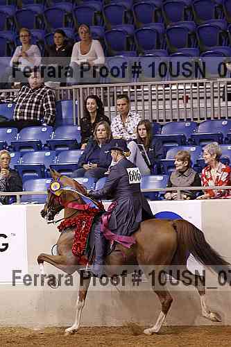 Proof Number 10usn_07436