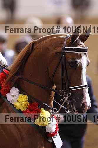 Proof Number 10usn_19285