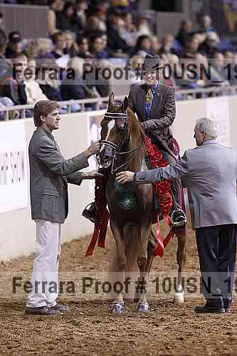 Proof Number 10usn_19288