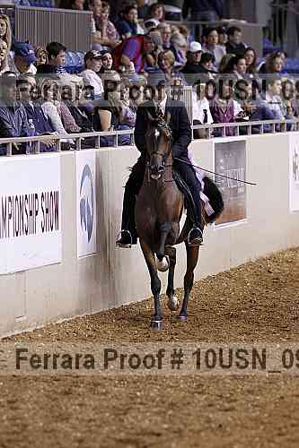 Proof Number 10usn_09489