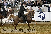 10usn_28252 thumbnail