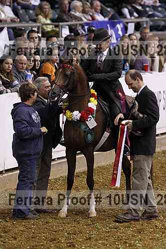 Proof Number 10usn_28289