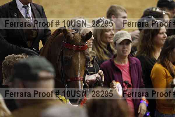 Proof Number 10usn_28295