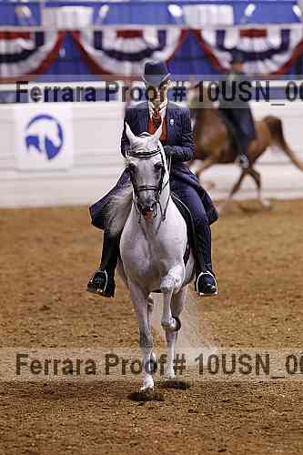 Proof Number 10usn_00677