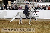 10usn_29015 thumbnail